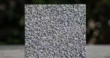 汉中 芝麻黑荔枝面