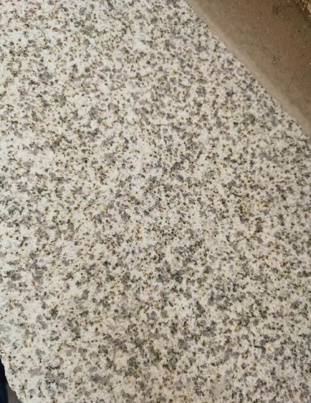 汉中 黄金麻中黄光面