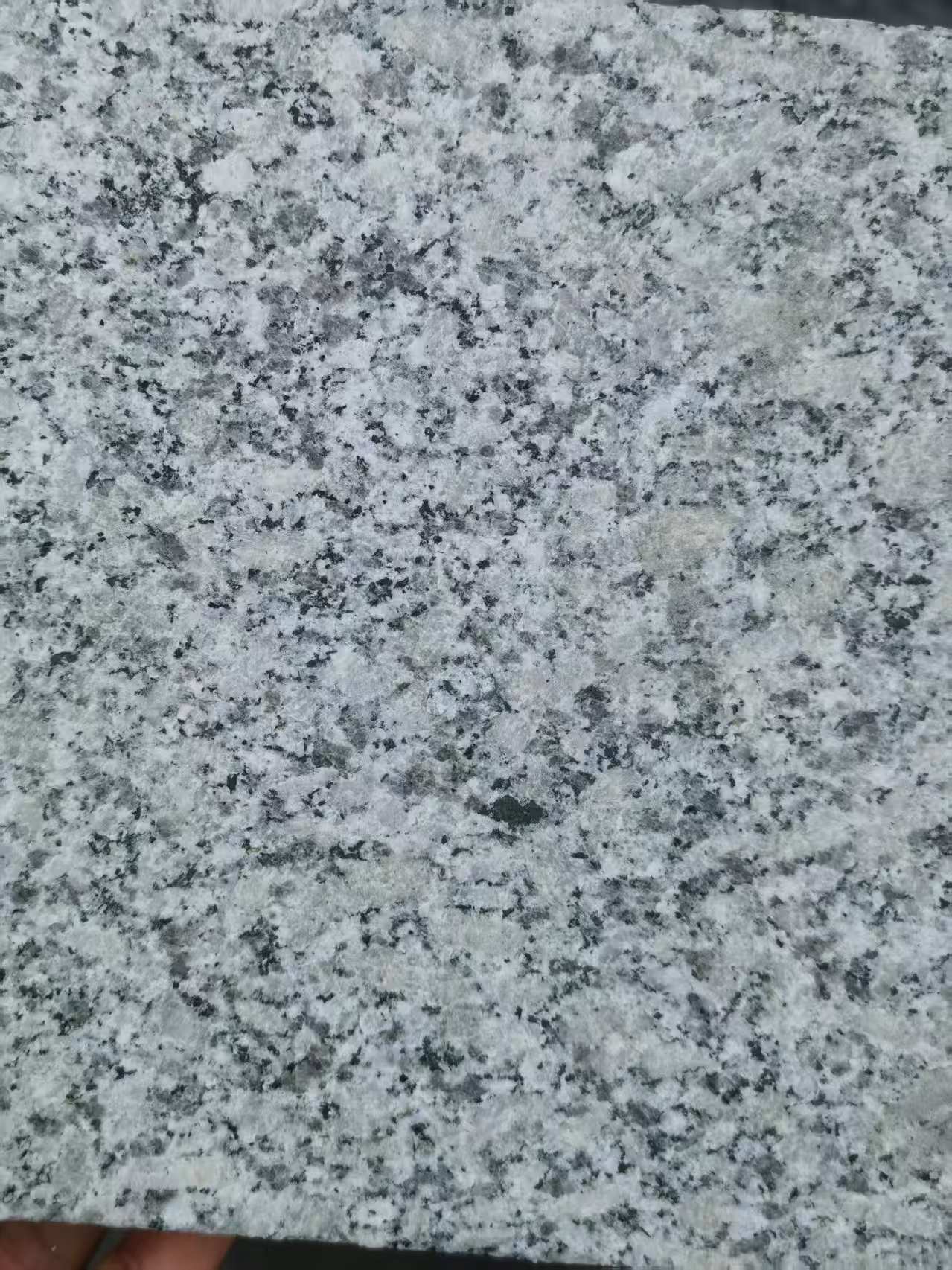 汉中 芙蓉白火烧面