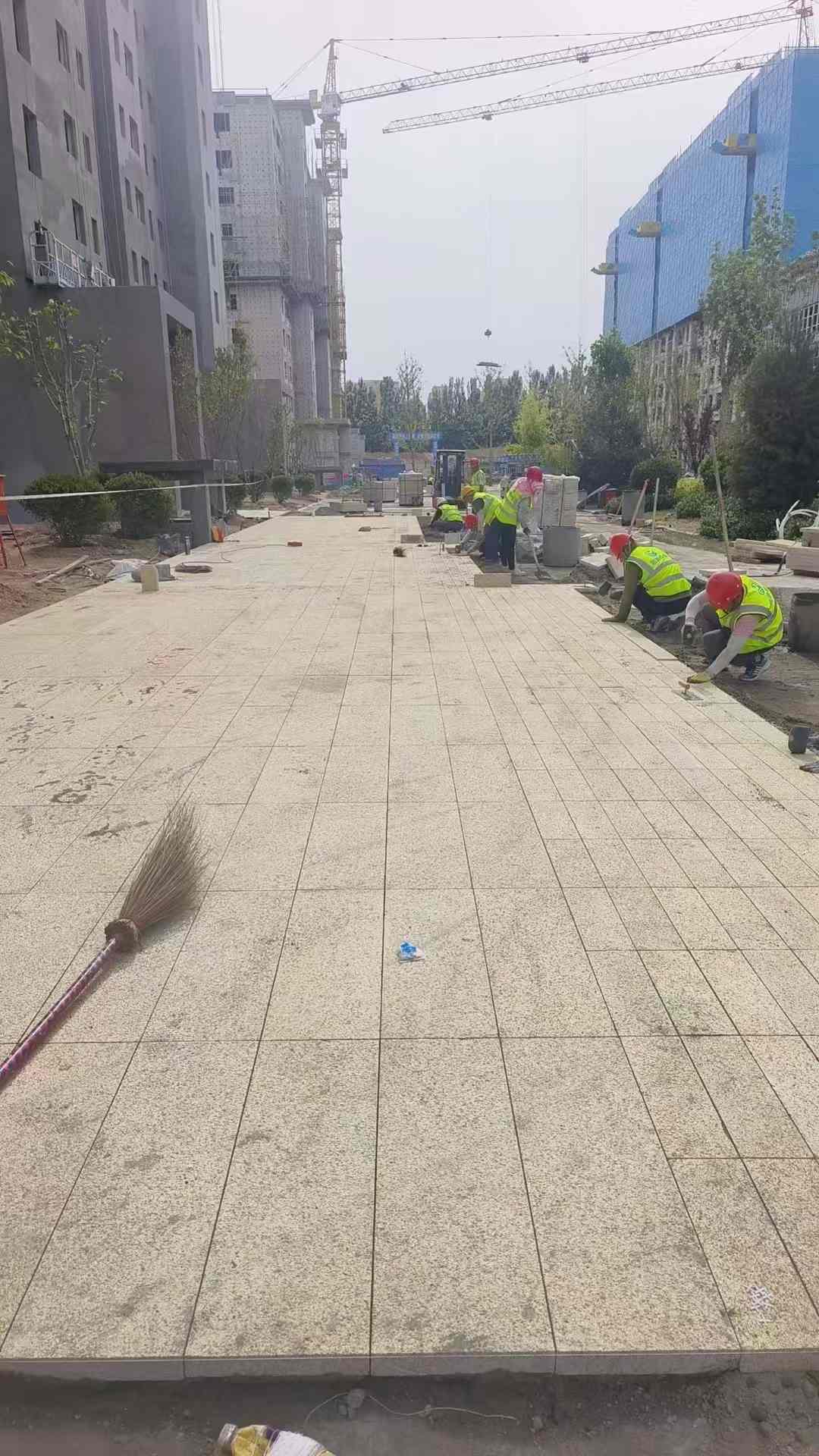 汉中黄金麻荔枝面地铺案例